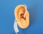 Headset für MTP850/MTP830 für Motorola